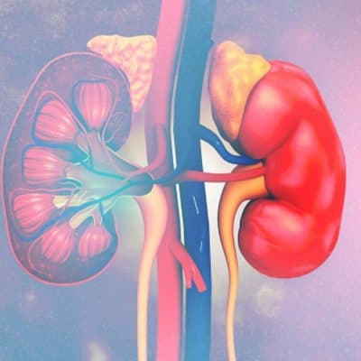 إجهاد الغدة الكظرية