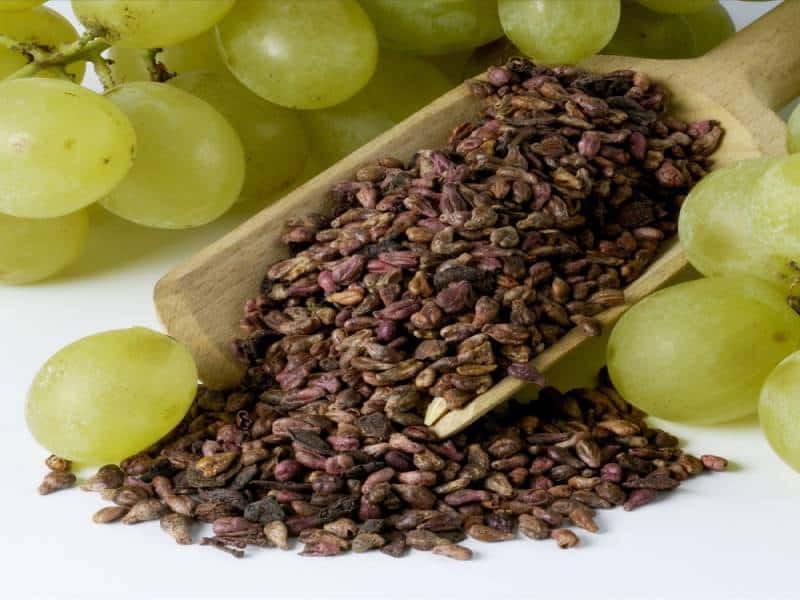 بذور العنب