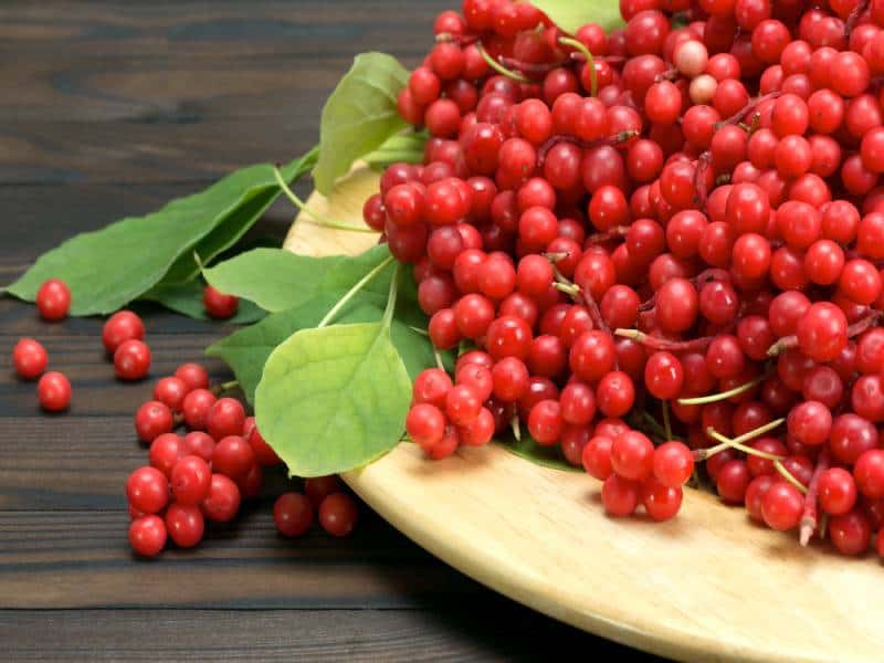 شيزاندرا لعلاج الغدة الكظرية