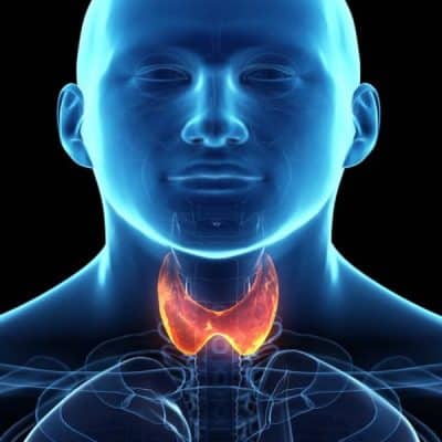 اعراض الغدة الدرقية عند الرجال