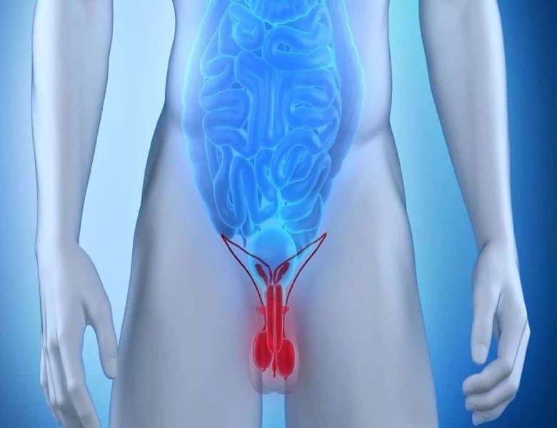 علاج دوالي الخصية بالاعشاب