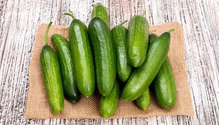 السعرات الحرارية في الخيار